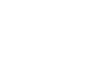 Logo_Blanco_Dan