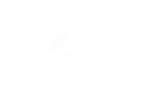 Logo_Blanco_Ramo